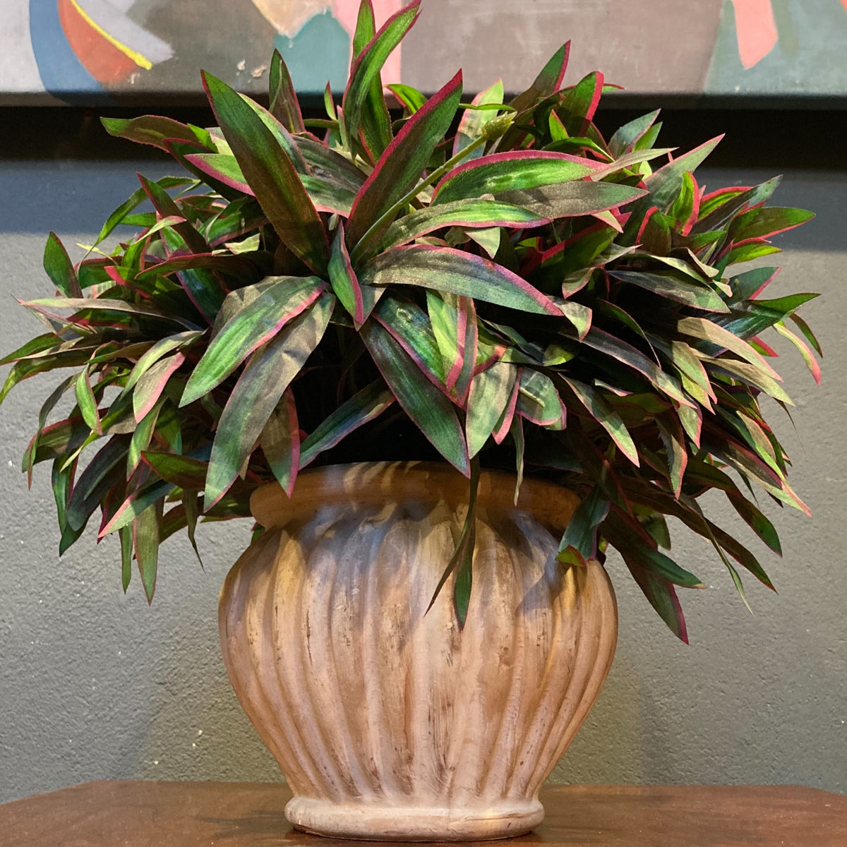 Terracotta Pot With Plant