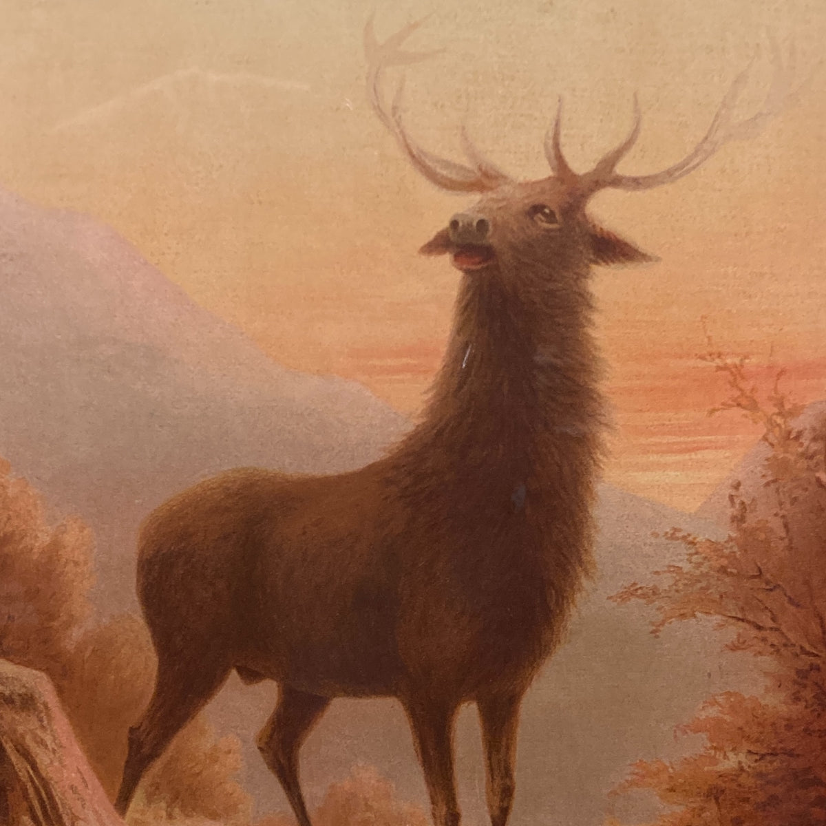 Emilie Vouga Stag Prints