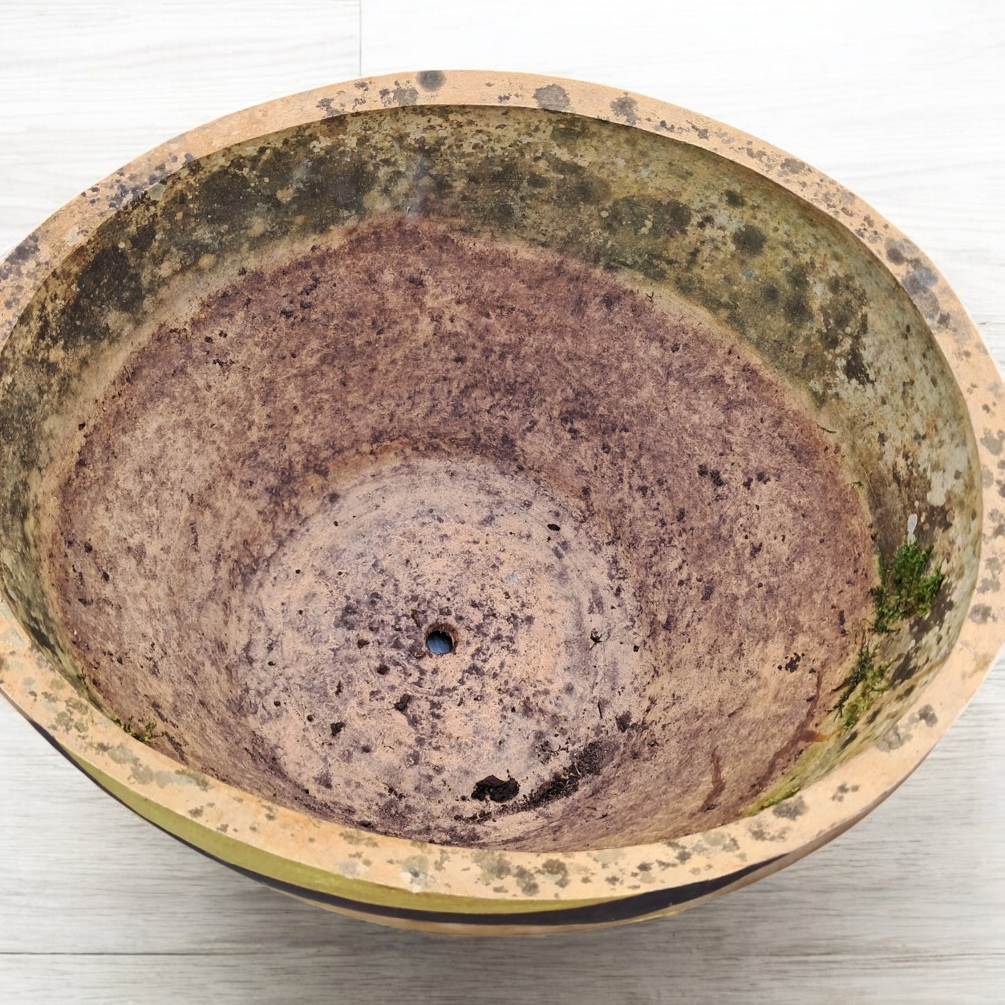 Graham Ratcliffe Planter