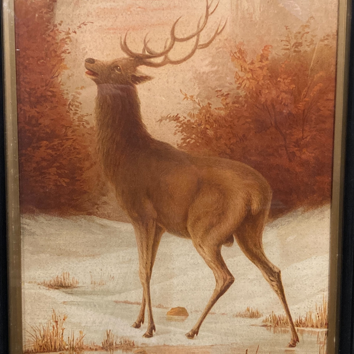 Emilie Vouga Stag Prints