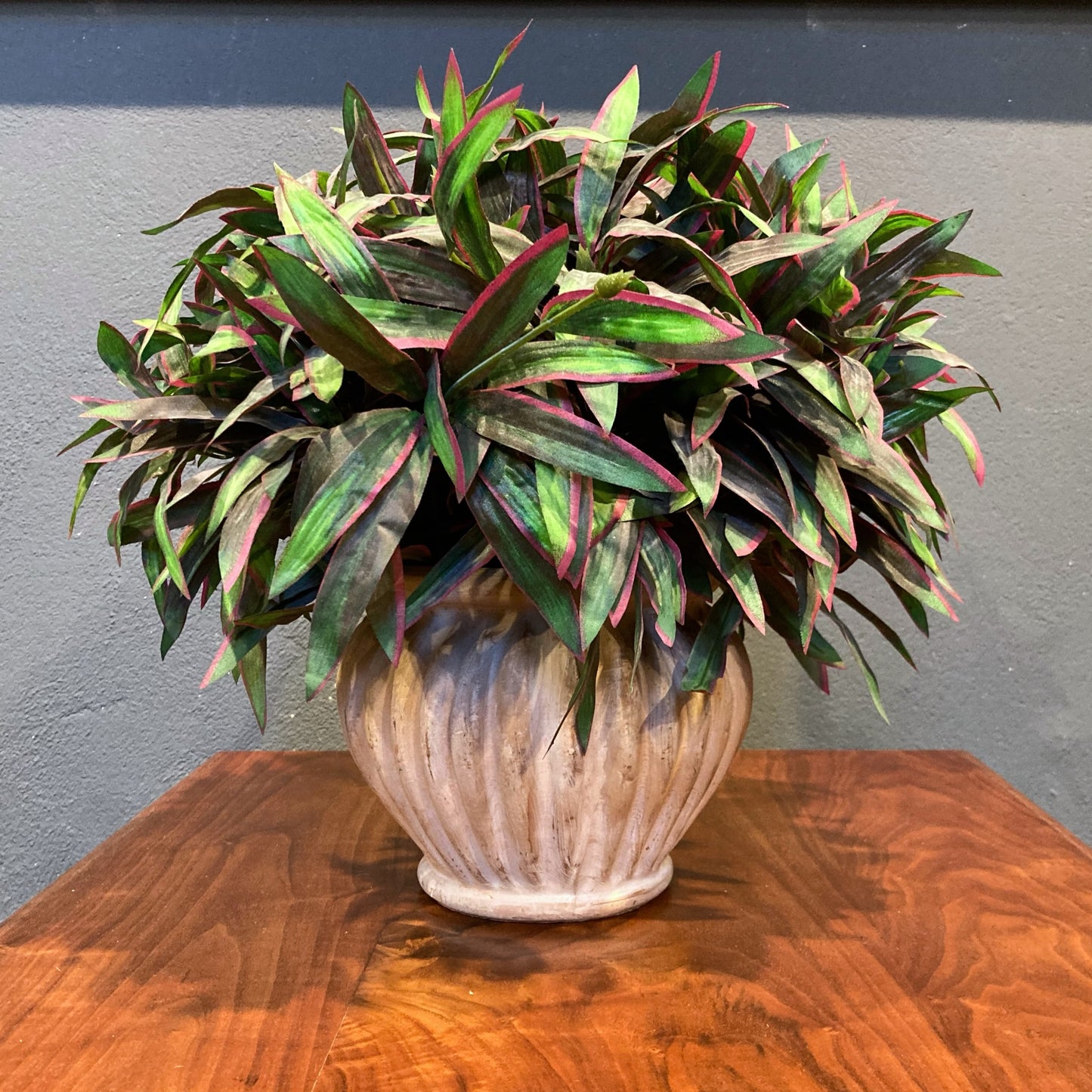 Terracotta Pot With Plant