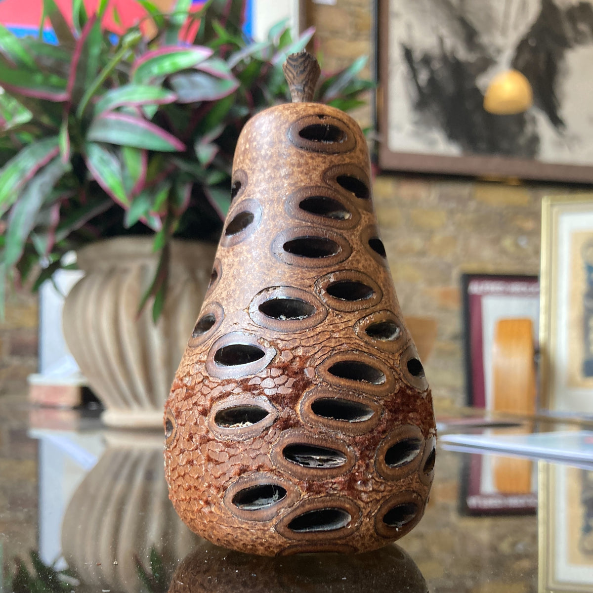 Banksia Nut Pear