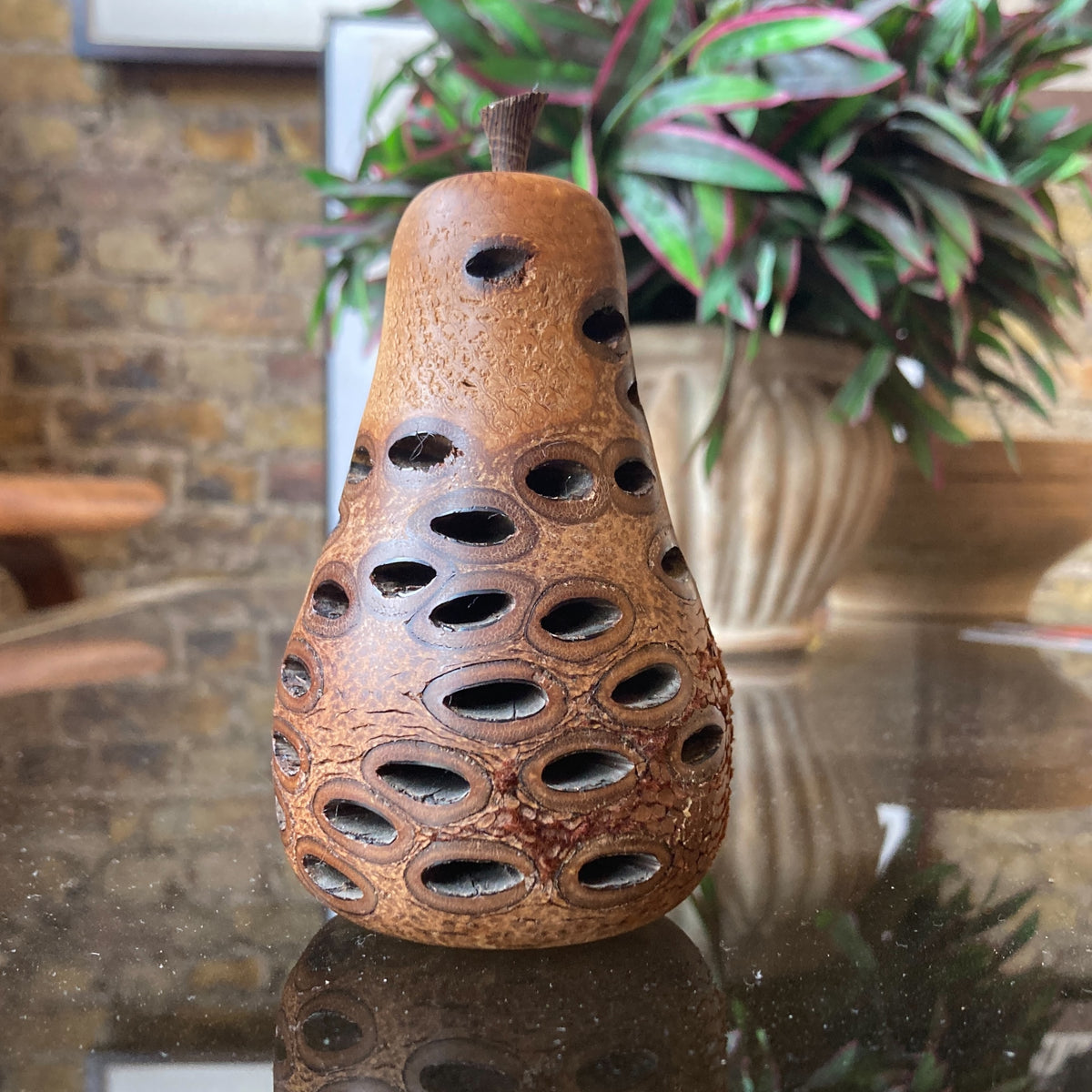 Banksia Nut Pear
