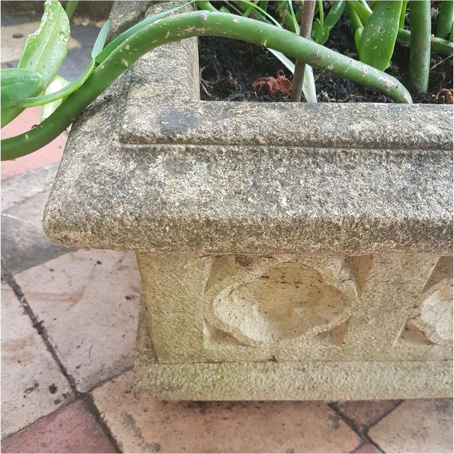 Garden - Square Garden Planters