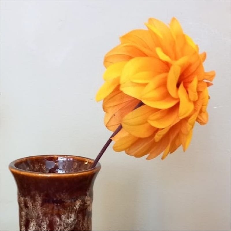 Kernewek Pottery Studio Vase - Ceramics