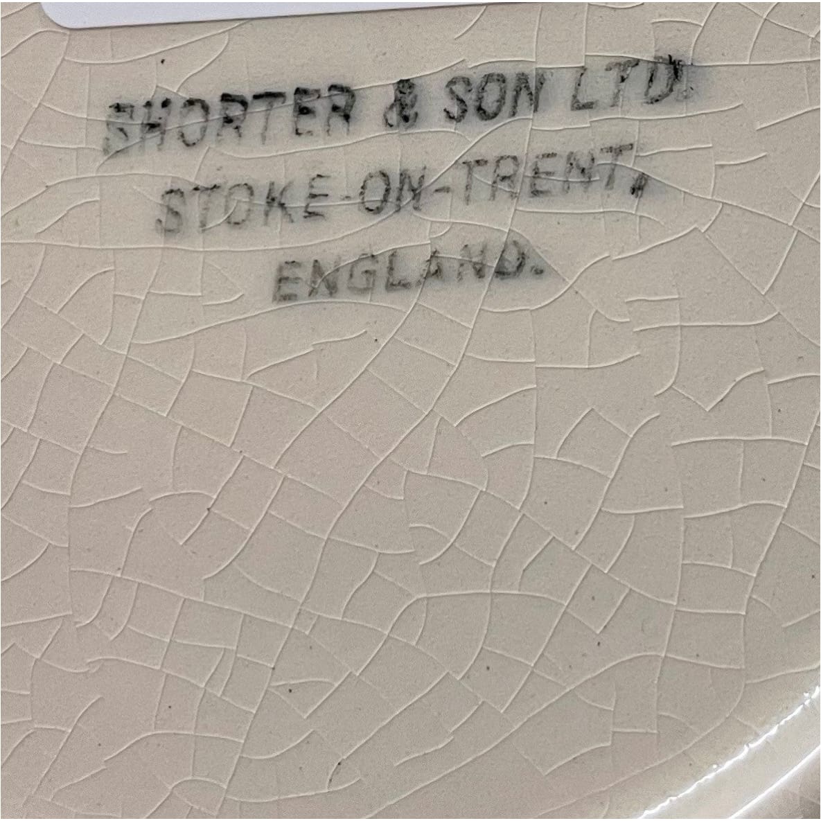 Vintage Fish Dinner Plates - Ceramics