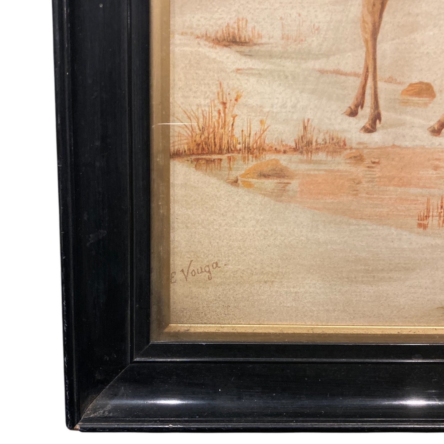 Emilie Vouga Stag Prints