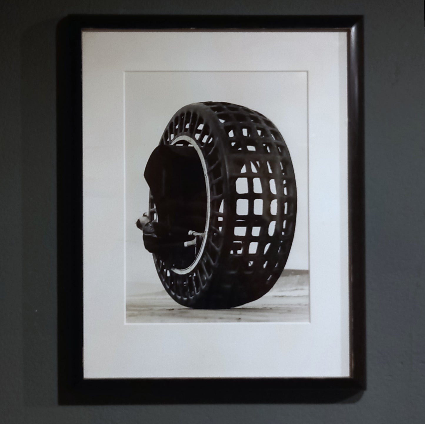 The Dynasphere Gelatin Print