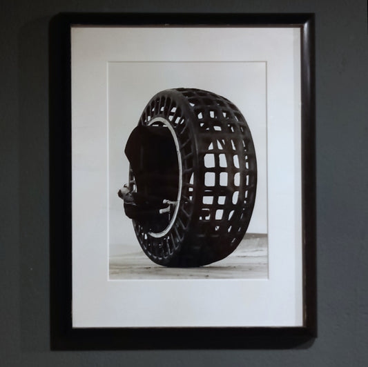 The Dynasphere Gelatin Print