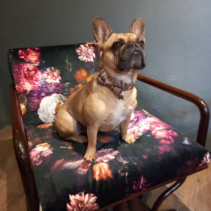 Mid Century X frame Armchairs