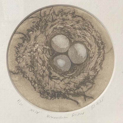 Alexandra Fraser Bird's Nest