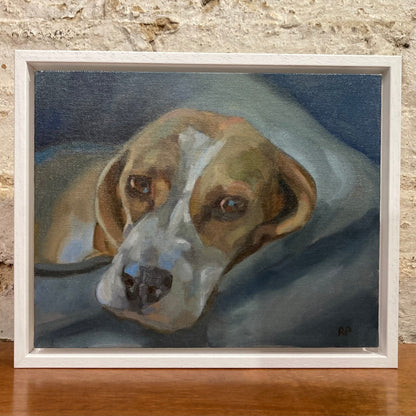 Rachel Parker Beagle