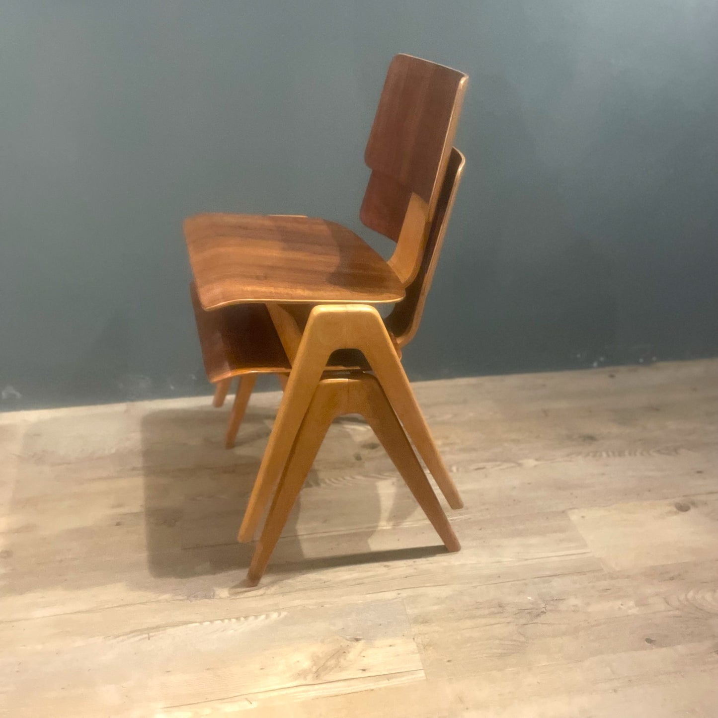 Hillestak Dining Chairs by Robin Day for Hille, 1950s