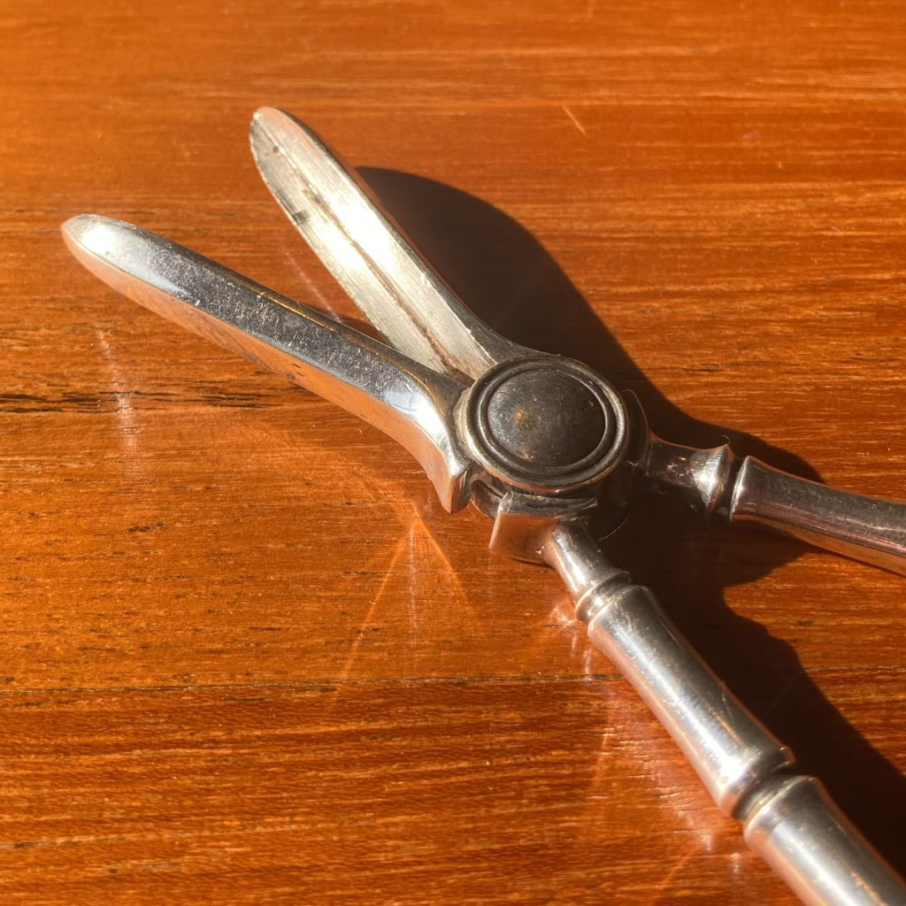 Edwardian Grape Scissors