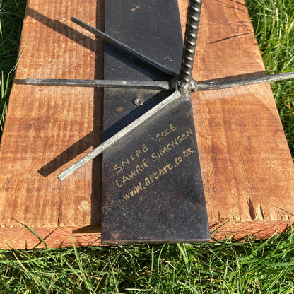 Lawrie Simonson, Snipe