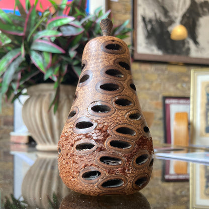 Banksia Nut Pear