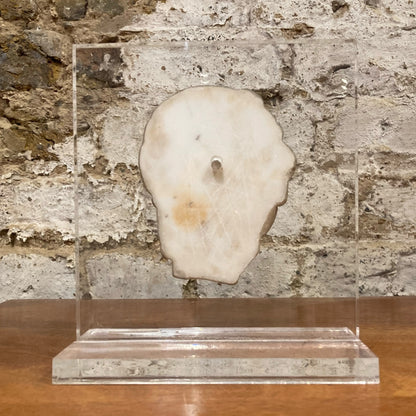 Carved Marble Roman Head