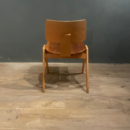 Hillestak Dining Chairs by Robin Day for Hille, 1950s