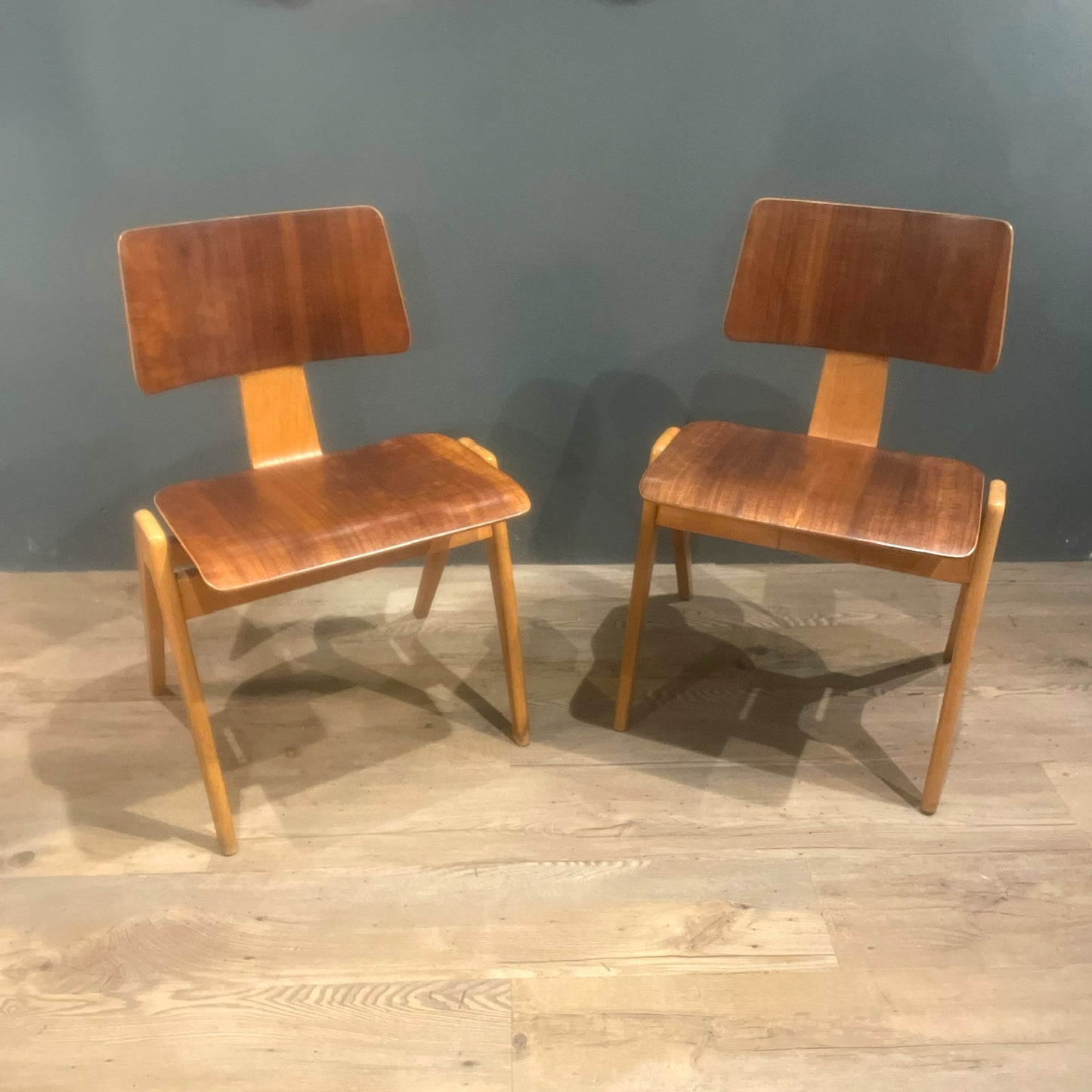 Hillestak Dining Chairs by Robin Day for Hille, 1950s