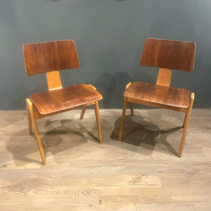 Hillestak Dining Chairs by Robin Day for Hille, 1950s