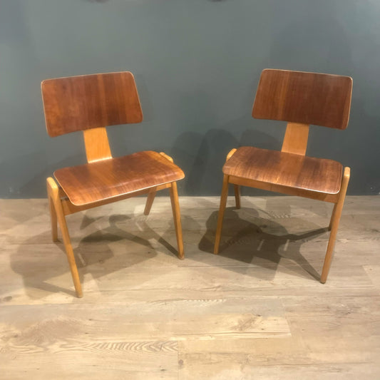Hillestak Dining Chairs by Robin Day for Hille, 1950s