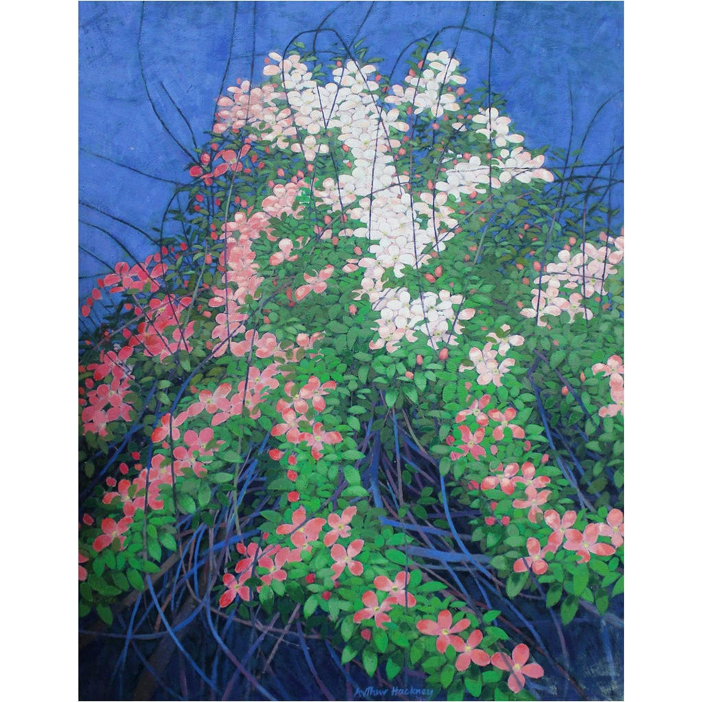 Art - Arthur Hackney, Study Of Trailing Flowers