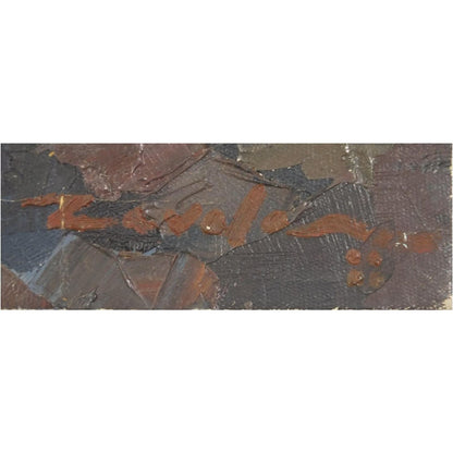 Art - Manuel Zavala, Llanganuco