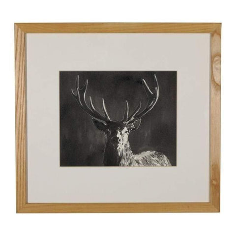 Art - William Thomas, Stag Ink Drawing