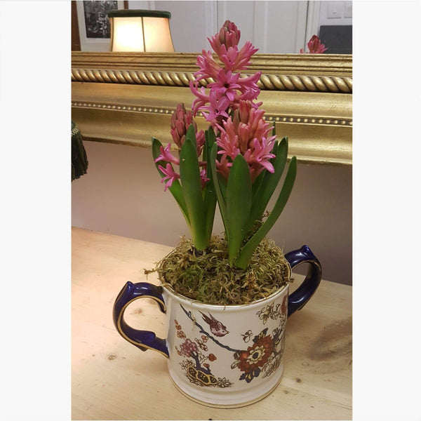 Ceramics - Half Pint Mug With Hyacinth