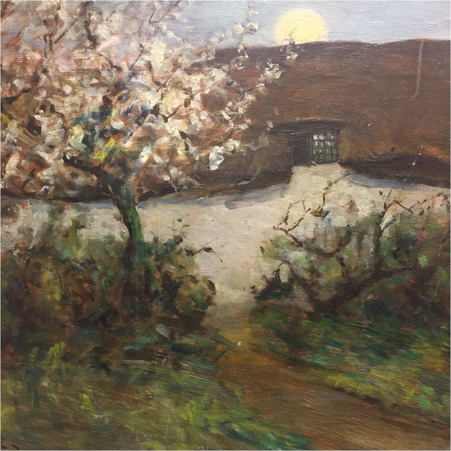 Art - Ethel Wane, Cherry Blossom