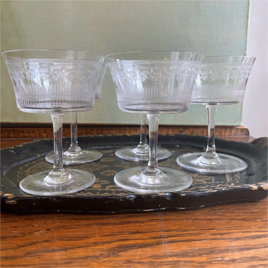 Five French Champagne Coupes - Glass