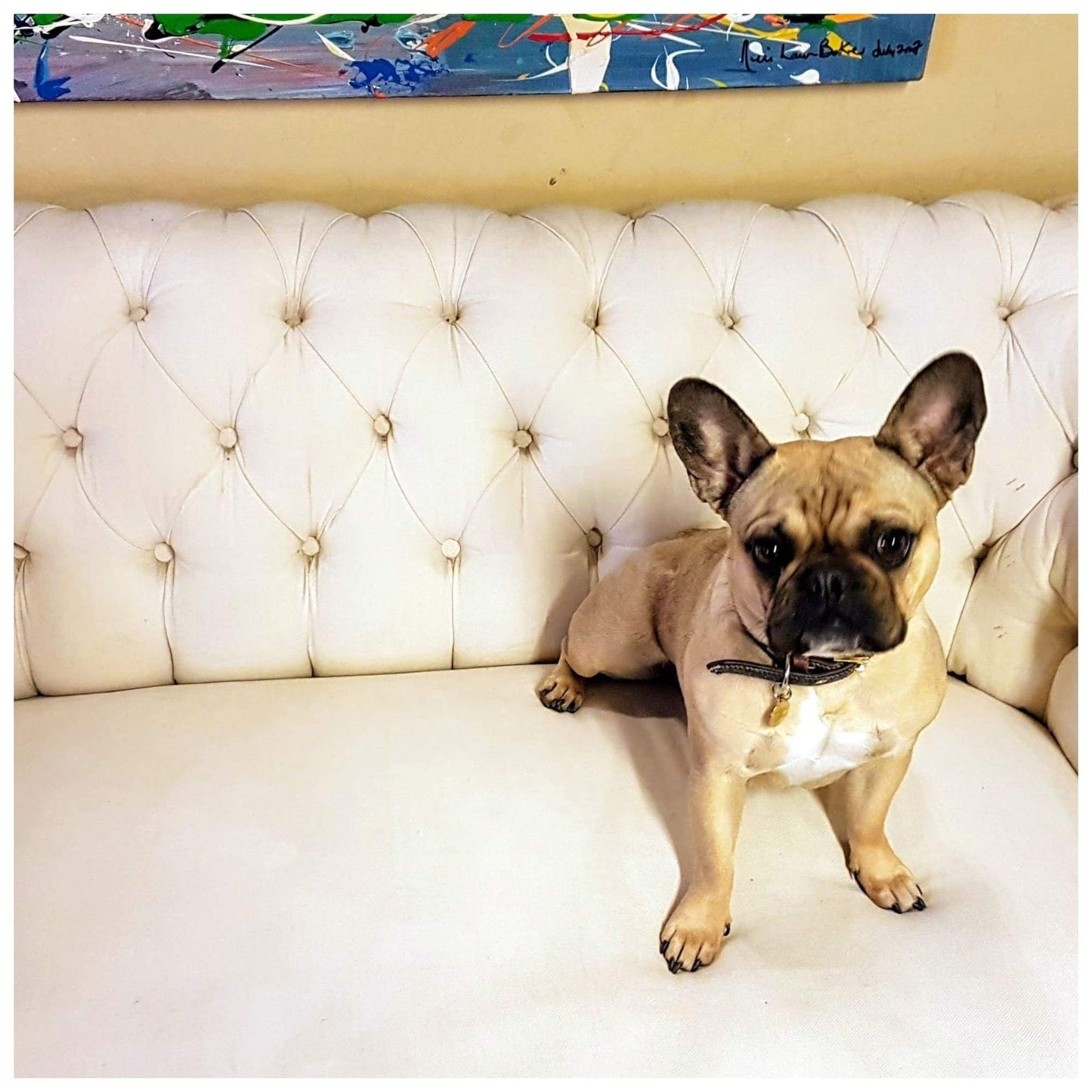 Furniture - Cream Deep Buttoned C19th Chesterfield Sofa