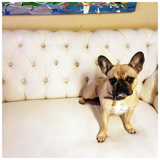 Furniture - Cream Deep Buttoned C19th Chesterfield Sofa