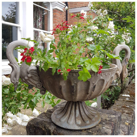 Garden - French Swan Handle Cast Iron Urn