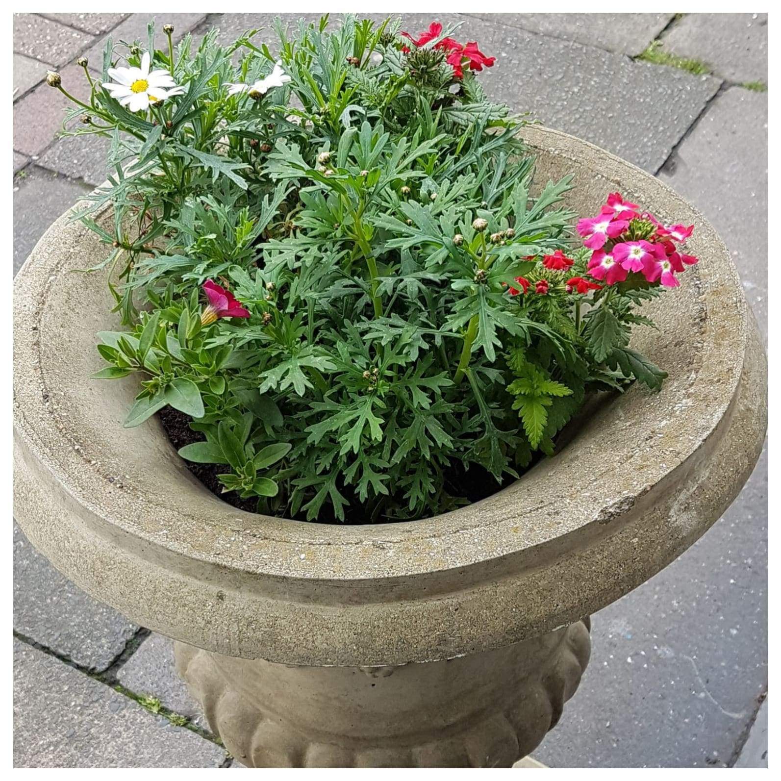 Garden - Pair Of Stone Urns