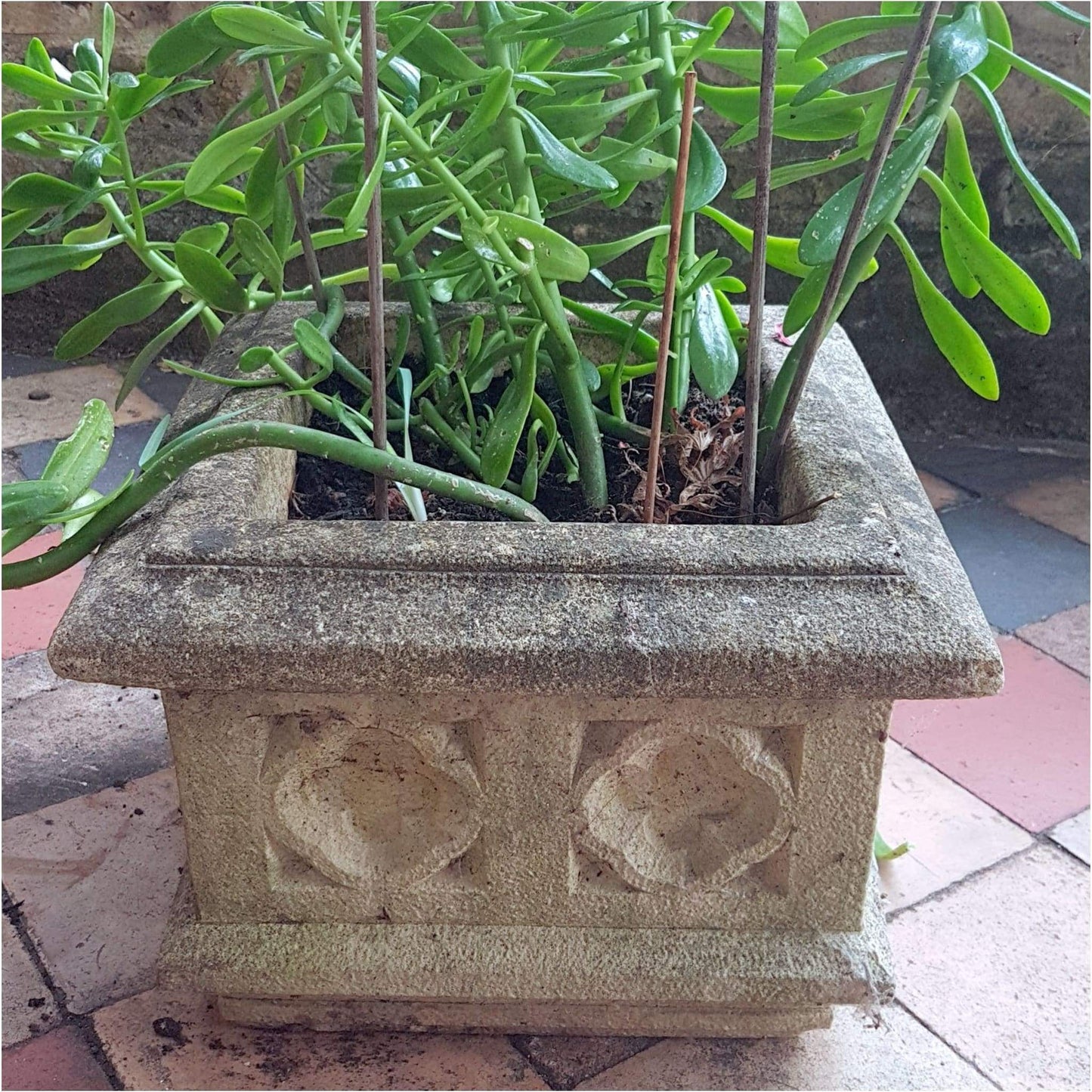Garden - Square Garden Planters