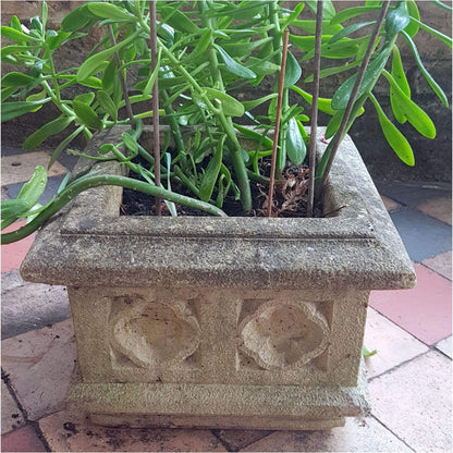Garden - Square Garden Planters