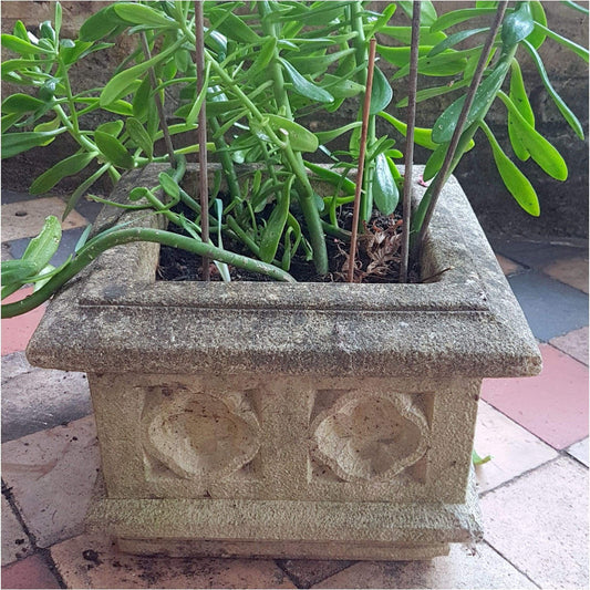 Garden - Square Garden Planters