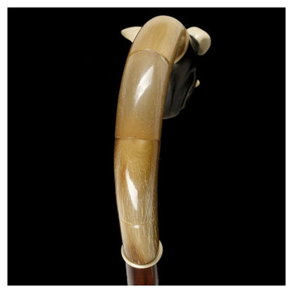 Miscellaneous - Horn Crook Handle Cane