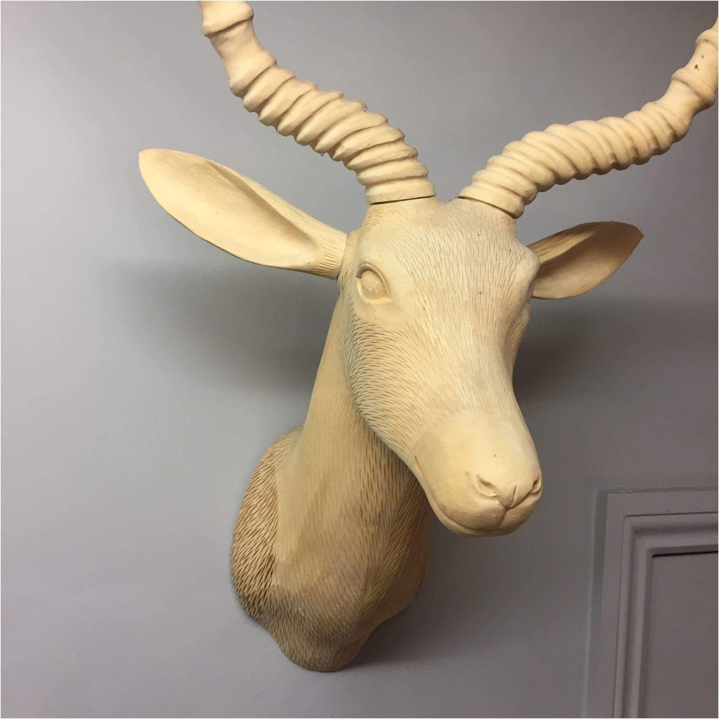 Miscellaneous - Model Antelope Head