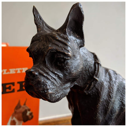 Pierre Jules Mene, Bronze Boxer Dog