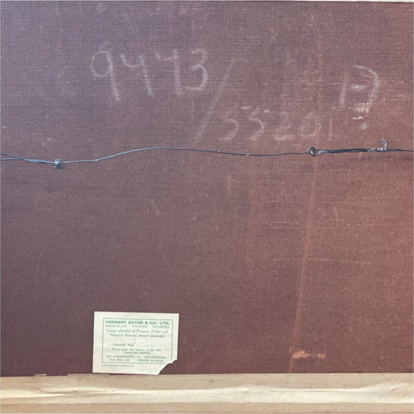 Study Of Antelope - Art